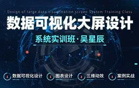 吴星辰数据可视化大屏设计系统实训班（高清画质带部分素材）