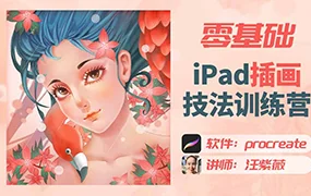 汪紫薇零基础iPad插画技法实训(高清画质无素材)
