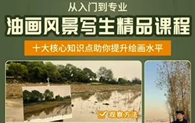 罗召龙油画风景写生精品课程(画质清晰无素材)