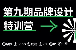 卢帅品牌设计特训营第9期(高清画质带素材)
