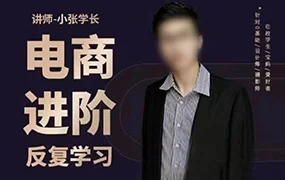 美工小张学长PS电商进阶(高清画质无素材)