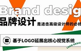 卢帅Logo字体品牌包装设计实战班第7期（高清画质带素材）