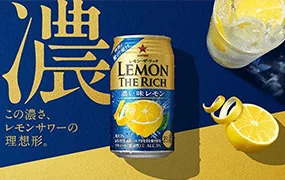 版式设计小白训练营(高清画质无素材)