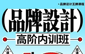 卢帅品牌设计高阶内训班第13期11月结课（超清画质带素材）
