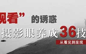 摄影眼养成36技+影像创作社区王建章的摄影课（画质清晰无素材）
