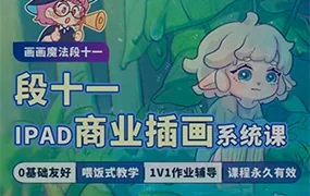 段十一iPad商业插画系统课 I 从零基础到画画精通(高清画质无素材)