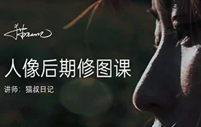 猫叔日记人像后期修图课(画质清晰无素材)