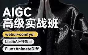付遥AIGC高级实战班（高清画质带部分课件）