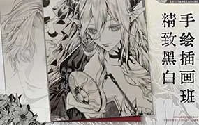 红鱿鱼精致黑白手绘插画班（高清画质无素材）