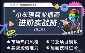 小灰碟商业插画进阶实战班第2期(画质普通无素材)