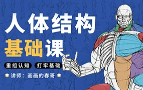 春哥人体结构基础课第13期(高清画质带课件)