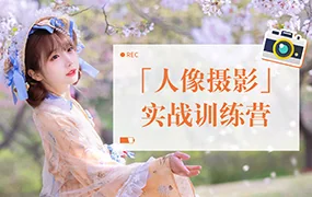 一晨叔叔人像摄影实战训练营(高清画质带素材)