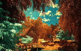 Coloso教程丨使用C4D和Octane完成的梦幻自然背景 中文字幕(高清画质带资产)