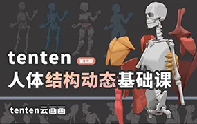 tenten云人体结构动态基础第五期(高清画质带素材)