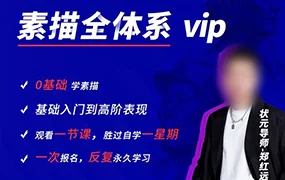 郑红远素描头像全体系精讲(高清画质无素材)