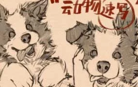 凶猛悍兔动物插画速写课（高清画质带素材笔刷）