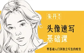 朱丹头像速写基础课第6期(高清画质无素材)