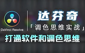 南门录像厅丨达芬奇调色思维 商业项目实操(高清画质无素材)