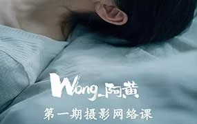 Wong阿黄摄影网络课第1期（高清画质无素材）