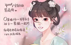 淑婷iPad商业插画系统课(画质清晰无素材)