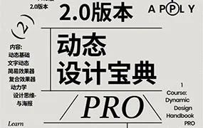 不错实验室AE动态设计宝典PRO版2.0(高清画质带素材)