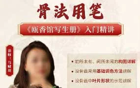 国画马啸羽骨法用笔之瓯香馆写生册入门精讲（高清画质带课件）
