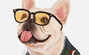 阿花ipad宠物团练插画课7月结课(高清画质带笔刷课件)