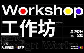 摇醒实验室品牌全栈课（高清画质带素材）