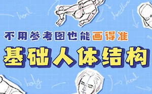 释开达 基础人体结构绘画教程(画质高清带笔刷)