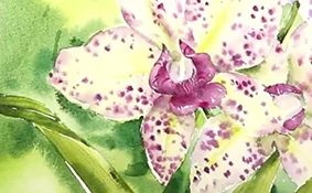 王小媛水彩花卉教程(画质清晰无素材)