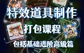 2meeee抖音特效道具制作打包课程(画质清晰无素材)