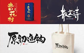 刘兵克字体设计全能班第1期（画质清晰带素材）