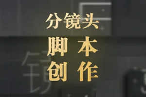 分镜头脚本创作丨掌握10种类型商业广告创作思路(画质高清无素材)