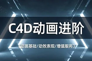 榴芒C4D动画进阶(高清画质带笔记)