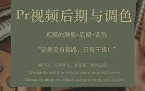 光拾阿飞Pr视频后期与调色(高清画质带素材)