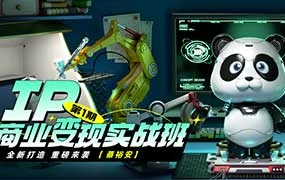 蔡裕安IP商业变现实战班第1期（高清画质无素材）