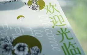 Ronny设计学堂孙容100天陪练计划平面设计100问（高清画质无素材）