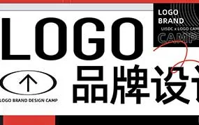 贰喜哥LOGO设计实战特训营第9期（画质清晰带素材）