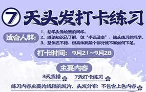 念萦墨葵七天头发打卡练习（画质清晰带课件笔刷）