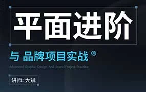 大斌平面进阶与品牌项目实战（高清画质带素材）