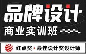 大凡&申也品牌设计商业实训班（高清画质带部分素材）