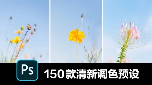 PS插件-150款清新文艺森系调色滤镜LUT照片预设，适用于PS/LR/PR/FCPX/达芬奇/AE