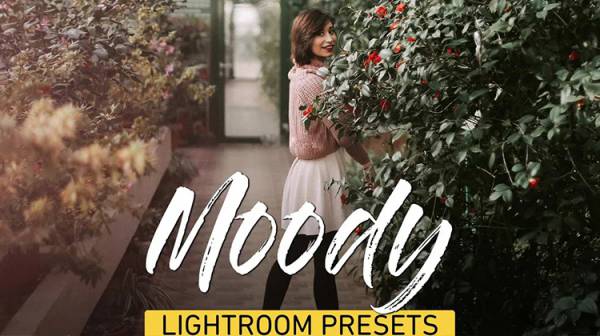 INS博客温暖时尚胶片Lightroom预设