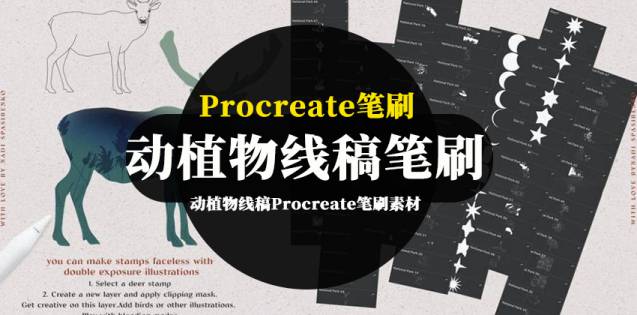Procreate笔刷-动植物线稿Procreate笔刷素材包