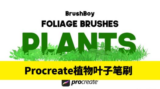 Procreate笔刷-Procreate笔刷20款植物叶子素材