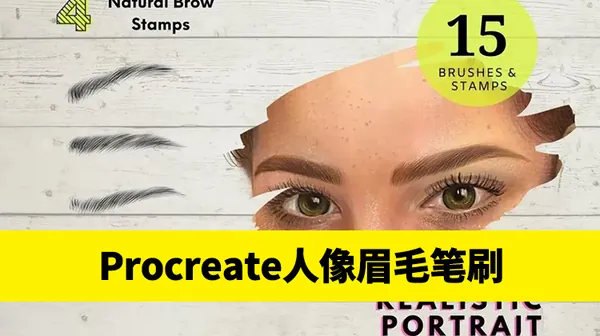 Procreate资源-超逼真基础人像肖像自然眉毛procreate画笔ipad笔刷