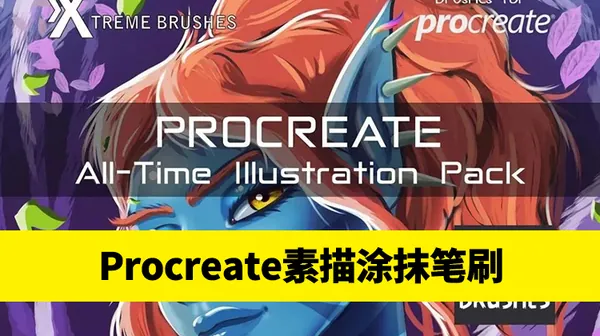 Procreate资源-Procreate笔刷20款精细艺术涂抹刷素描笔刷墨水刷procreate画笔