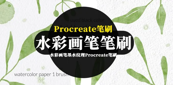 Procreate资源-水彩画笔墨水纹理Procreate笔刷素材