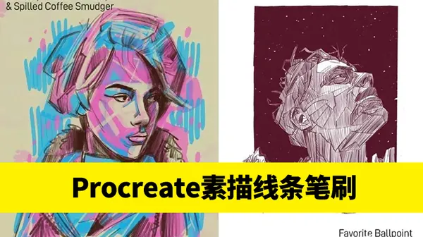 Procreate资源-Procreate笔刷圆珠笔素描线条绘画效果素材