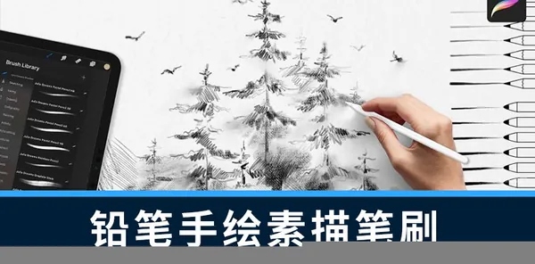 Procreate笔刷-铅笔手绘素描艺术效果Procreate笔刷素材